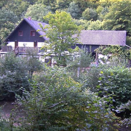 Neumuehle Ferienwohnung 2 Lutzerath Exteriör bild