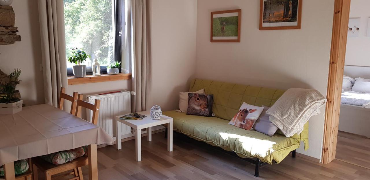 Neumuehle Ferienwohnung 2 Lutzerath Exteriör bild