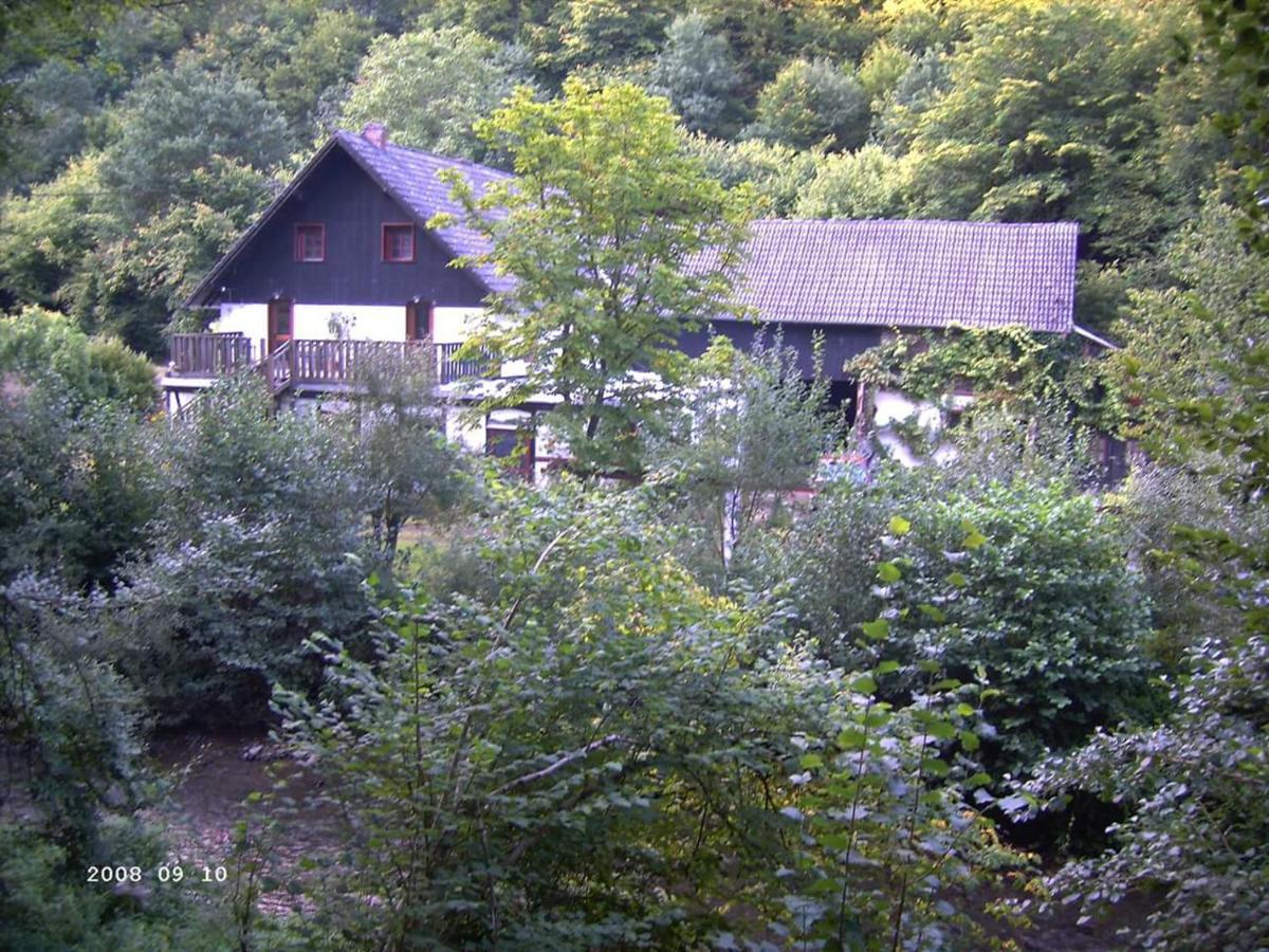 Neumuehle Ferienwohnung 2 Lutzerath Exteriör bild